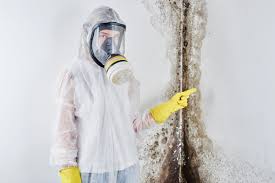 Best Mold Prevention Services  in Caney, KS